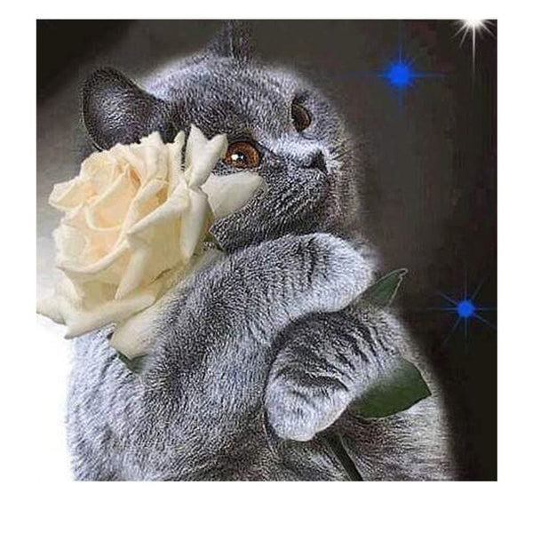 Calin de chat | Broderie point de diamant - Animaux Chat Produit