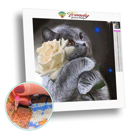 Calin de chat | Broderie point de diamant - Animaux Chat Produit