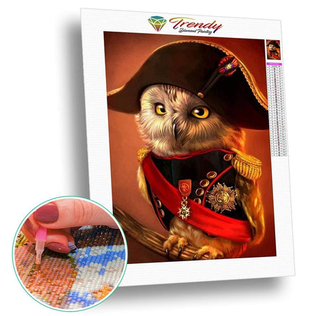 Capichef hibou | Kit broderie - Animaux Oiseau Produit