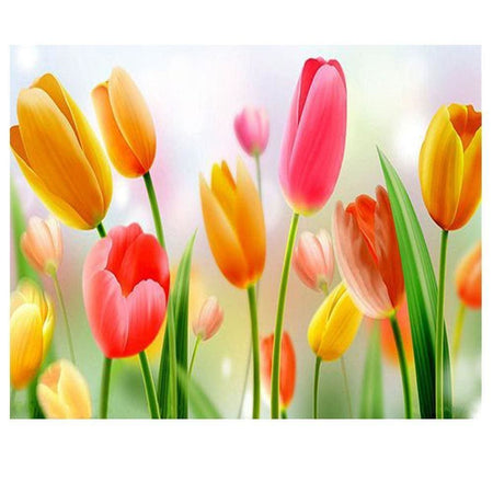 Champ de tulipes coloré | Peinture diamant - Fleur Fleur et plante Produit