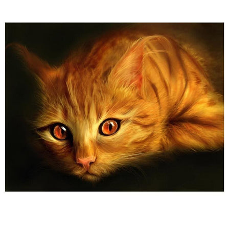 Chat au regard perçant | Toile de diamant - Animaux Autres animaux Produit