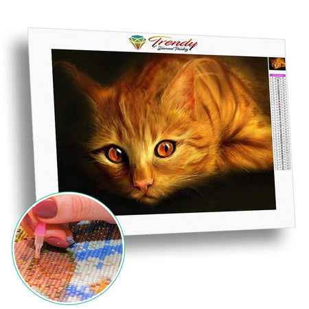 Chat au regard perçant | Toile de diamant - Animaux Autres animaux Produit