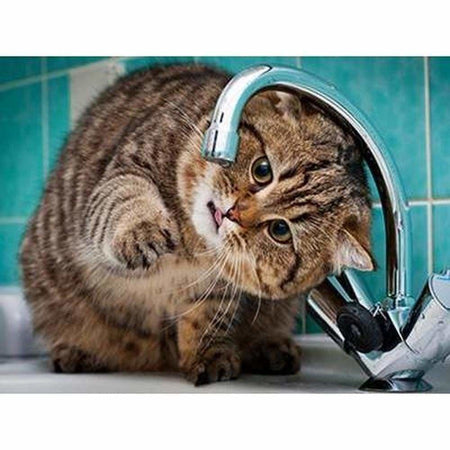 Chat jouant avec le robinet - modèle M001 | Kit de broderie de diamant - Animaux Chat Produit