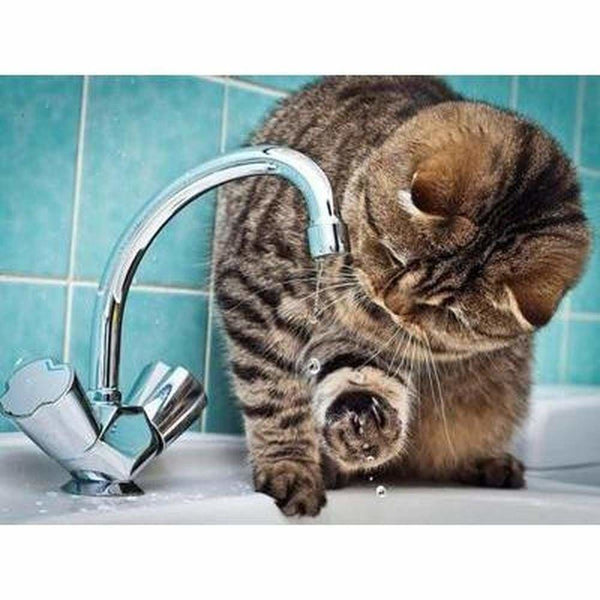 Chat jouant avec le robinet - modèle M002 | Broderie diamant kit - Animaux Chat Produit