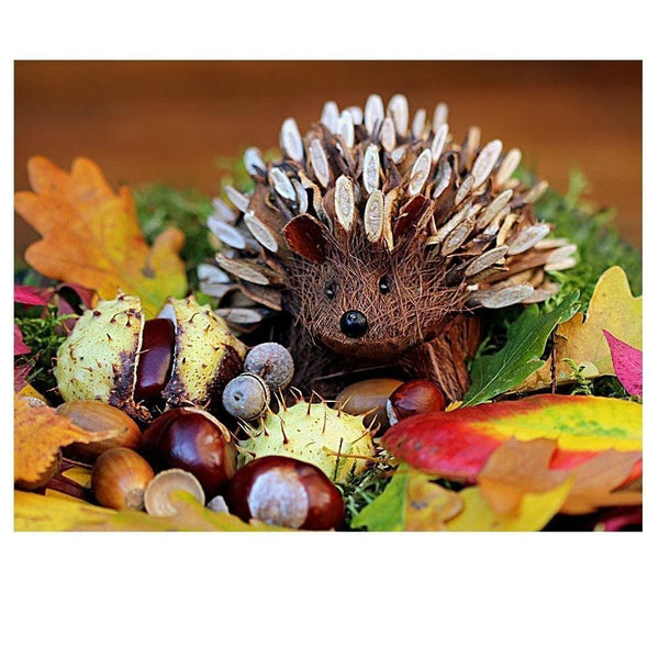 Châtaigne hérissonne | Kit de broderie de diamant - Animaux Autres animaux Produit