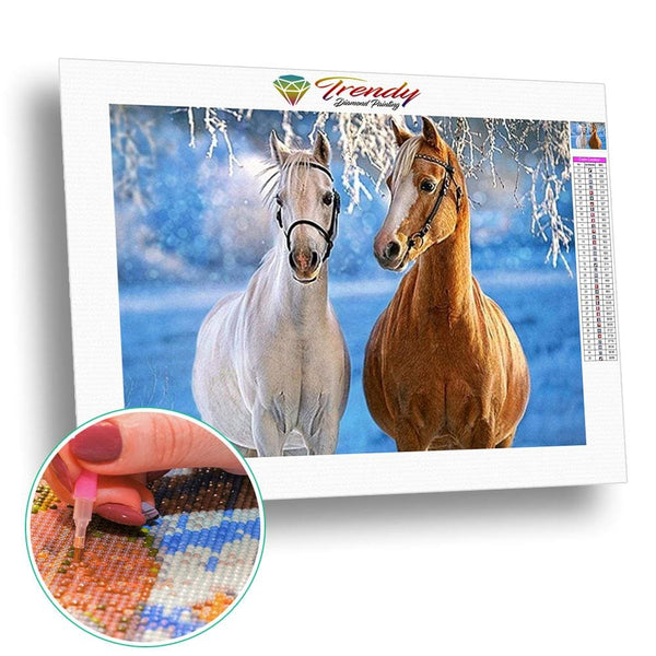 Cheval et sa jument | Toile diamant - Animaux Cheval Produit
