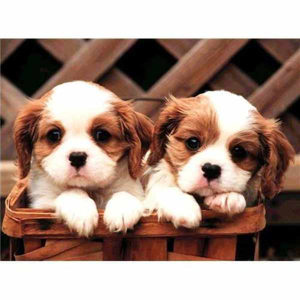 Coucou les loustik - modèle M001 | Toile de diamant - Animaux Chien Produit