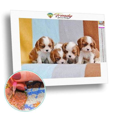 Coucou les loustik - modèle M002 | Tableau de diamant - Animaux Chien Produit