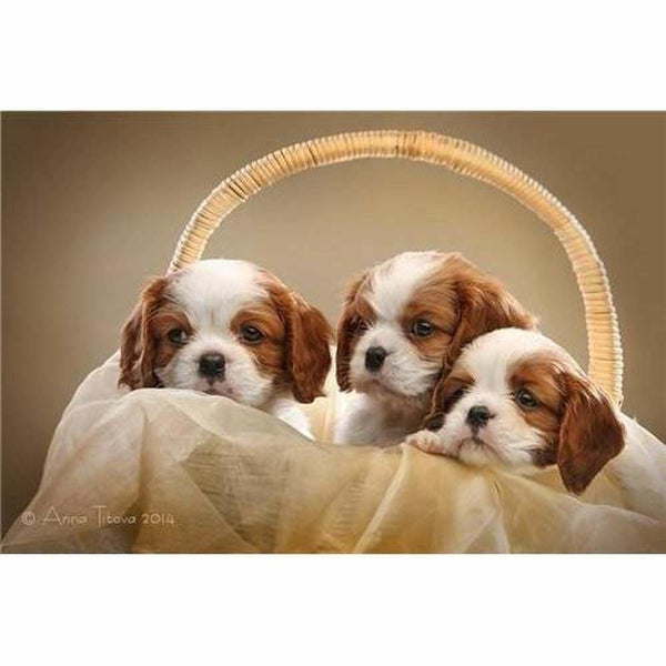 Coucou les loustik - modèle M003 | Diamond painting grand format - Animaux Chien Produit