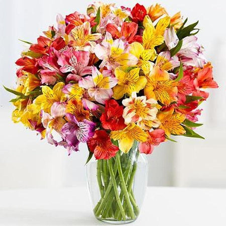 Création florale très colorée - modèle M001 | Diamond painting grand format - Fleur Fleur et plante Produit