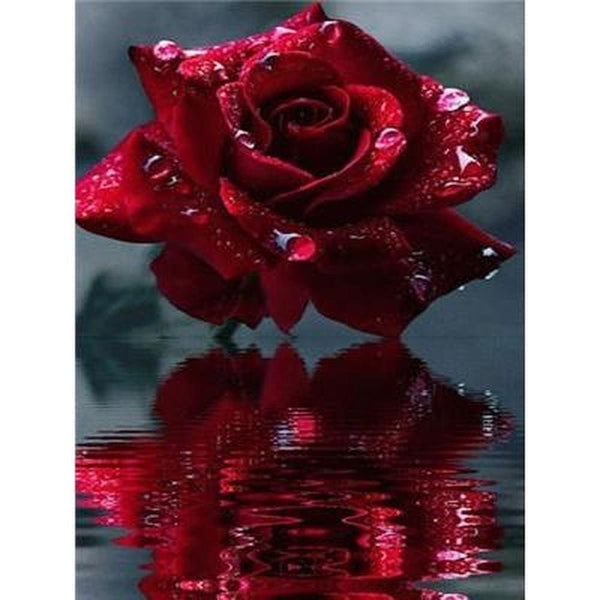 Fleur goutte deau avec son reflet - modèle M001 | Toile diamant - Fleur Fleur et plante Produit