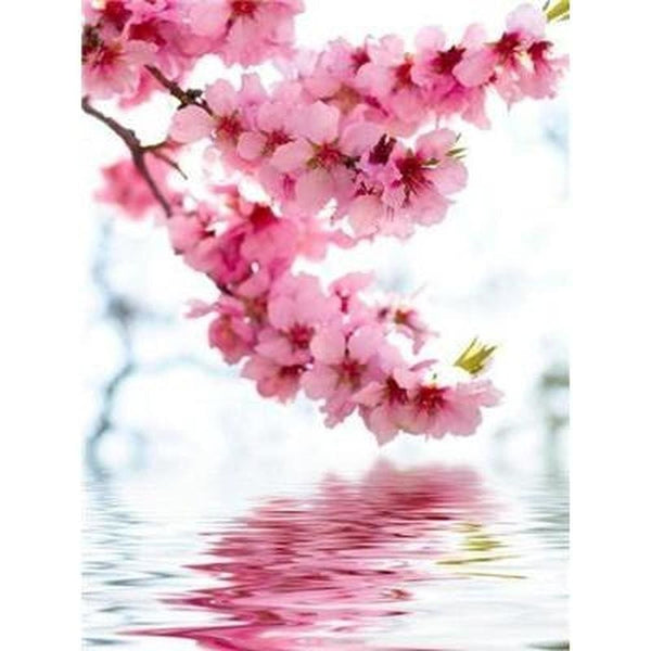 Fleur goutte deau avec son reflet - modèle M005 | Diamond painting complet - Fleur Fleur et plante Produit