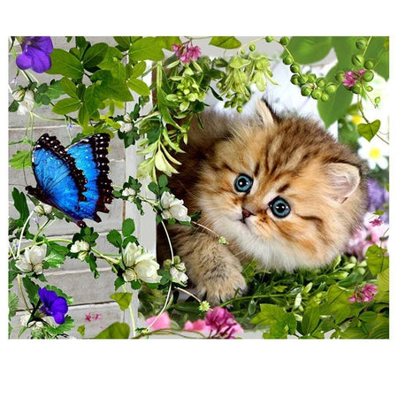 Ho quel beau papillon ! | Peinture diamant - Animaux Chat Papillon Produit