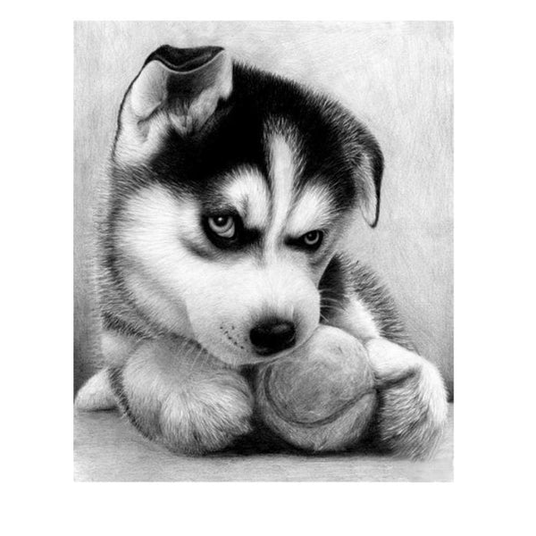 Husky ba-balle | Tableau de diamant - Animaux Chien Produit
