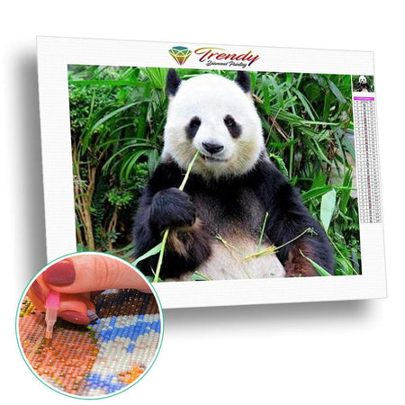 Le panda dans tout ses états - modèle M005 | Diamond painting complet - Animaux Panda Produit