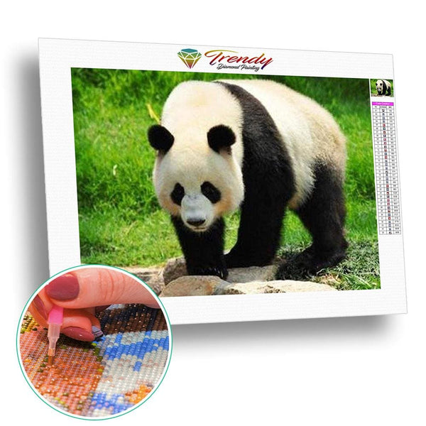 Le panda dans tout ses états - modèle M006 | Toile de diamant - Animaux Panda Produit