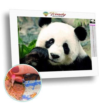 Le panda dans tout ses états - modèle M008 | Diamond painting grand format - Animaux Panda Produit