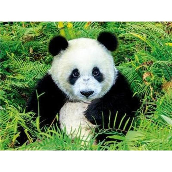 Le panda dans tout ses états - modèle M010 | Kit broderie diamant - Animaux Panda Produit
