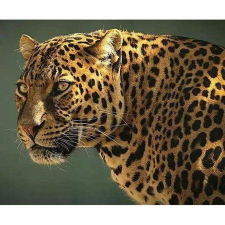 Léopard au repos - modèle M001 | Broderie diamant toile entière - Animaux Léopard Produit