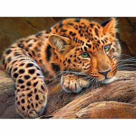 Léopard au repos - modèle M002 | Broderie point de diamant - Animaux Léopard Produit