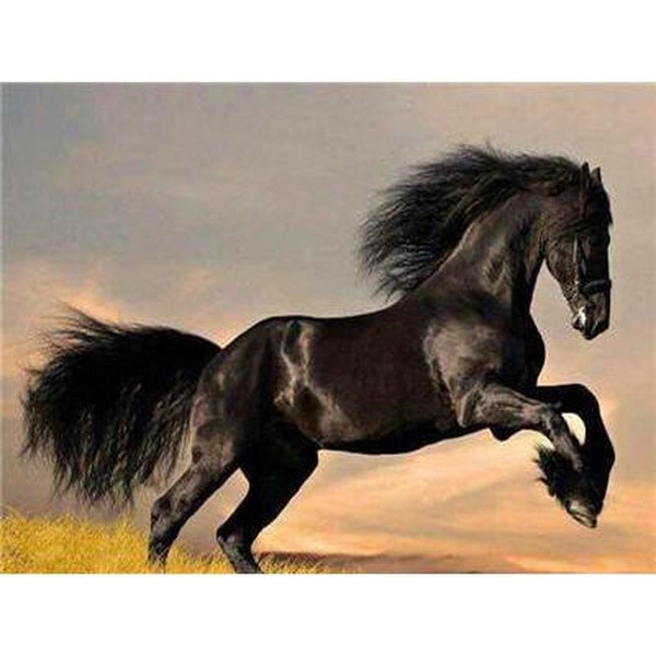 Les chevaux de la liberté - modèle M001 | Kit de broderie de diamant - Animaux Cheval Produit