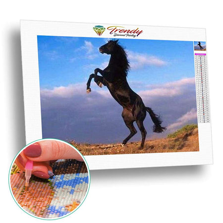 Les chevaux de la liberté - modèle M002 | Broderie diamant kit - Animaux Cheval Produit