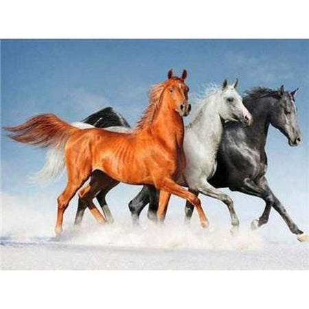 Les chevaux de la liberté - modèle M003 | Broderie diamant toile entière - Animaux Cheval Produit