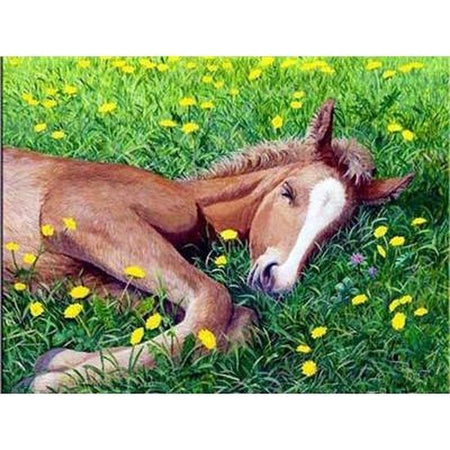 Les chevaux de la liberté - modèle M006 | Diamond painting kit - Animaux Cheval Produit