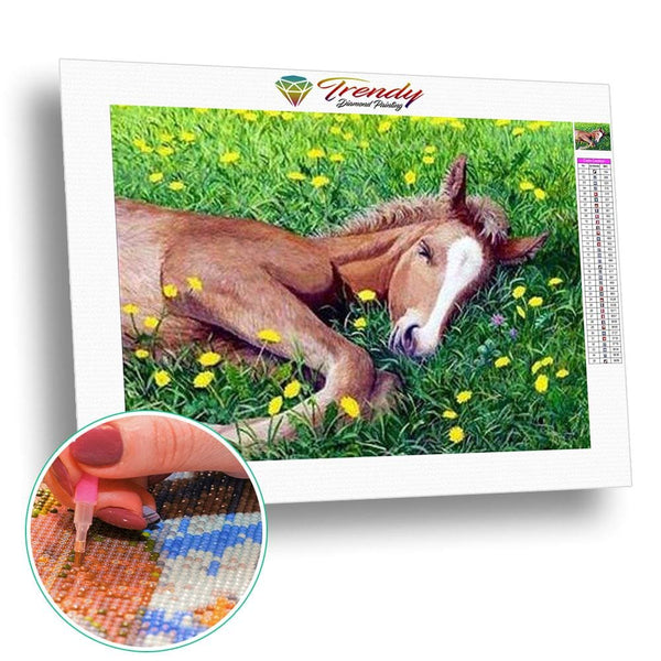 Les chevaux de la liberté - modèle M006 | Diamond painting kit - Animaux Cheval Produit