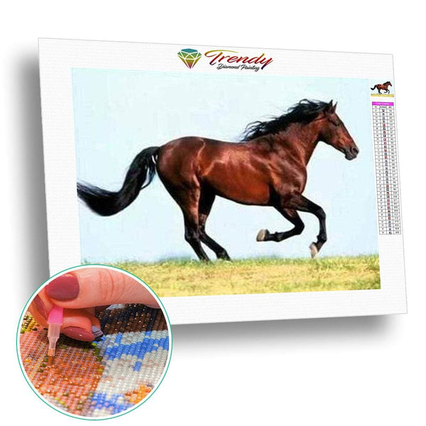 Les chevaux de la liberté - modèle M007 | Broderie diamant - Animaux Cheval Produit