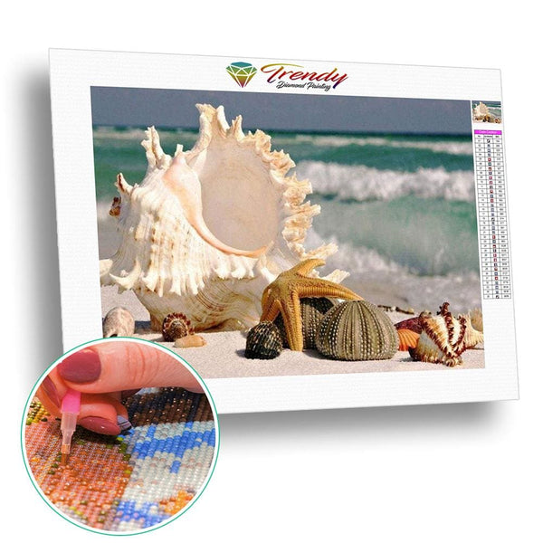 Les coquillages de la mer | Peinture diamant - Paysage Produit À la mer