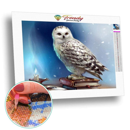 Lhistoire de la chouette | Caneva diamant - Animaux Oiseau Produit