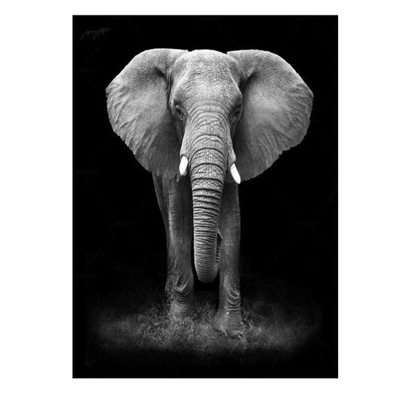 Mastodonte déléphant | Kit broderie diamant - Animaux Produit Éléphant