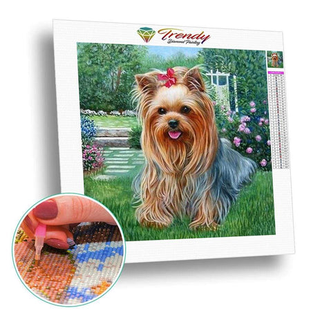 Pépita et ses amis - modèle M001 | Broderie diamant toile entière - Produit