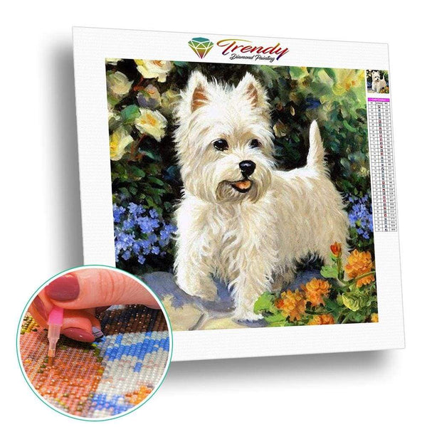 Pépita et ses amis - modèle M003 | Kit broderie - Produit