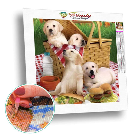 Pépita et ses amis - modèle M004 | Diamond painting kit - Animaux Chien Produit