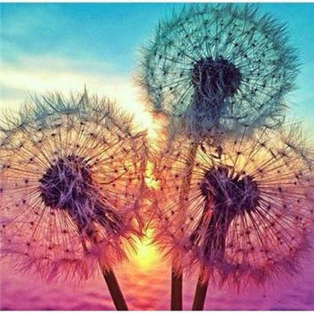 Pissenlits admirant le couché de soleil - modèle M002 | Broderie diamant kit - Fleur Fleur et plante Paysage Produit À la mer