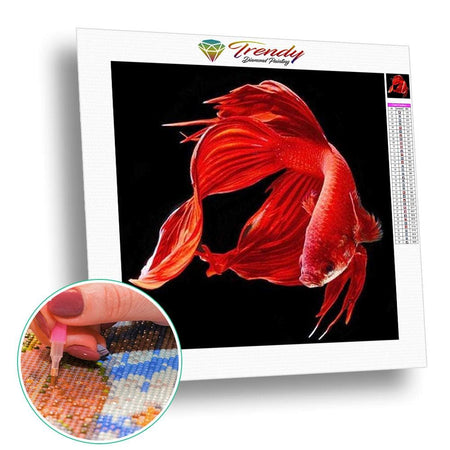 Poissons chinois - modèle M001 | Kit broderie diamant - Animaux Poisson Produit