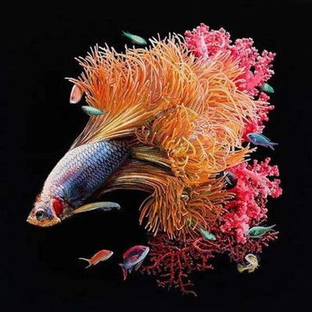 Poissons queue corail - modèle M001 | Tableau de diamant - Animaux Poisson Produit