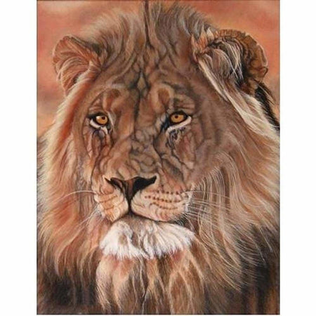 Portraits de lions - modèle M003 | Broderie de diamant - Animaux Lion Produit