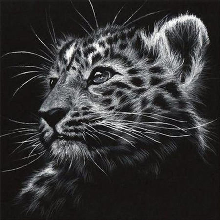 Portraits félins Lion tigre et léopard - modèle M001 | Broderie diamant kit complet - Animaux Lion Léopard Produit Tigre
