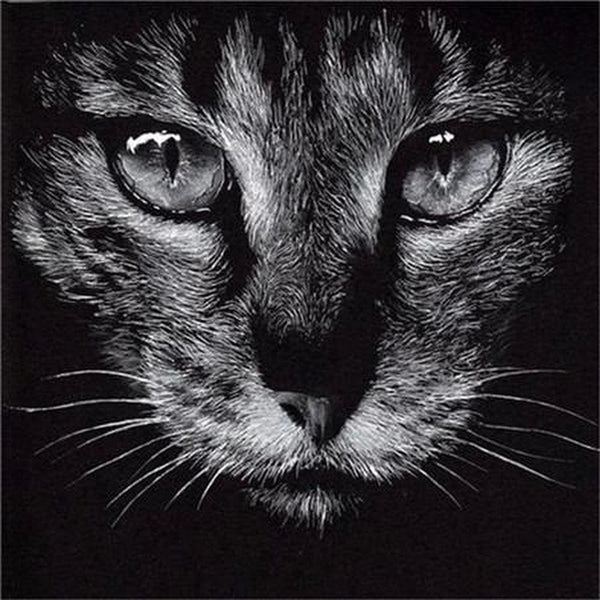 Portraits félins Lion tigre et léopard - modèle M002 | Broderie diamant complet - Animaux Lion Léopard Produit Tigre
