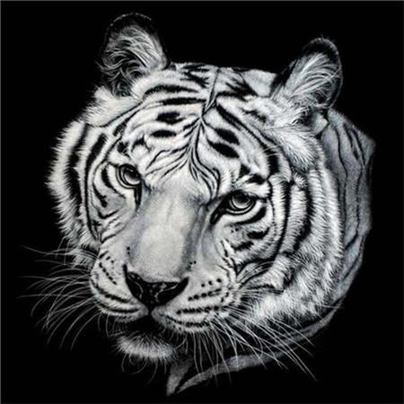 Portraits félins Lion tigre et léopard - modèle M004 | Broderie diamant kit - Animaux Lion Léopard Produit Tigre