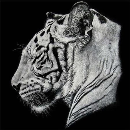 Portraits félins Lion tigre et léopard - modèle M005 | Broderie diamant toile entière - Animaux Lion Léopard Produit Tigre
