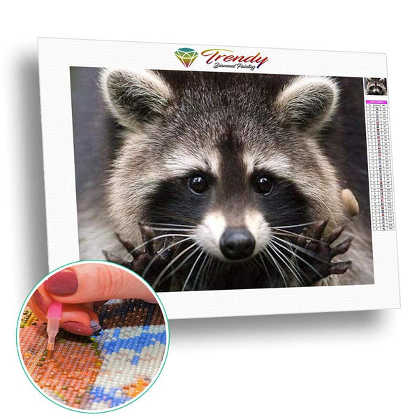 Raton laveur - modèle M002 | Broderie diamant kit - Animaux Autres animaux Produit