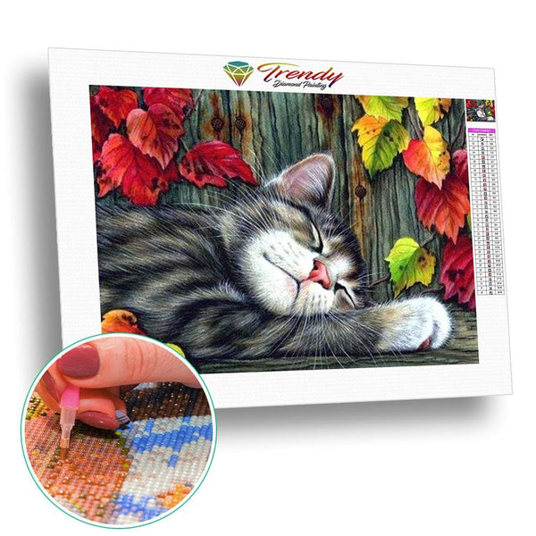 Ronflette la chatte dormeuse | Toile diamant - Animaux Chat Produit