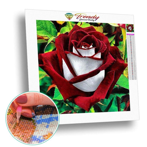 Rose au coeur blanc | Tableau diamant - Fleur Fleur et plante Produit