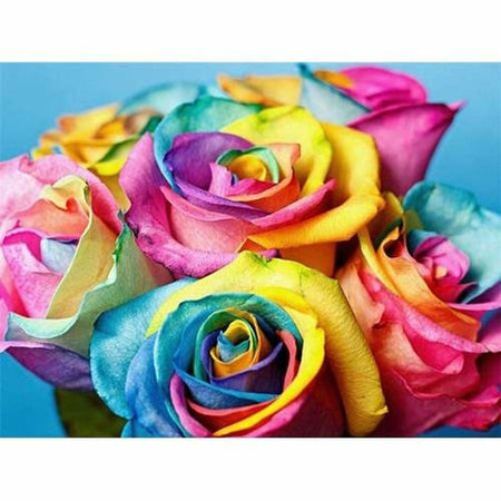 Rose aux pétales multicolores - modèle M004 | Diamond painting grand format - Fleur Fleur et plante Produit