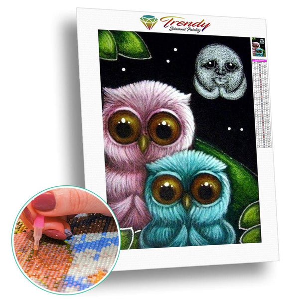 Roudoudou les hiboux - modèle M003 | Broderie diamant kit - Animaux Oiseau Produit
