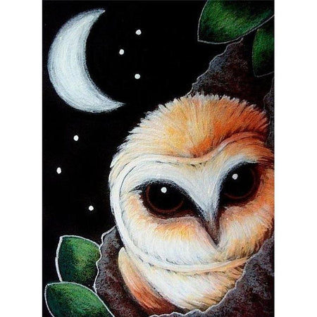 Roudoudou les hiboux - modèle M004 | Broderie diamant toile entière - Animaux Oiseau Produit